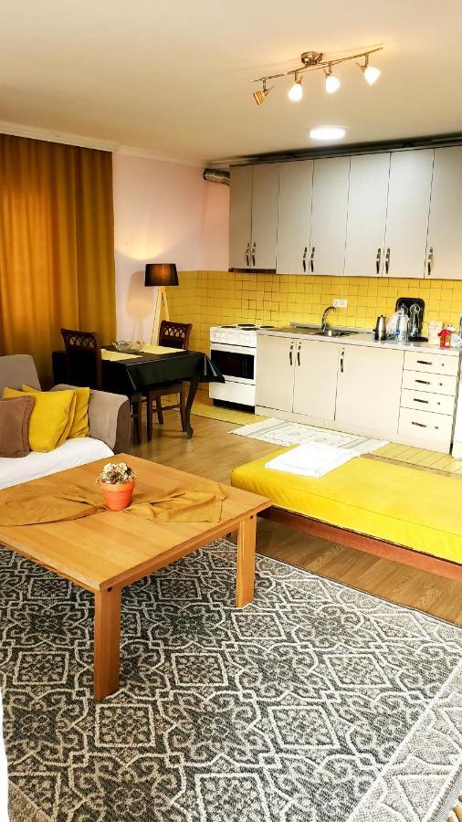 Spacious Downtown Apartment With A City View Приштина Экстерьер фото