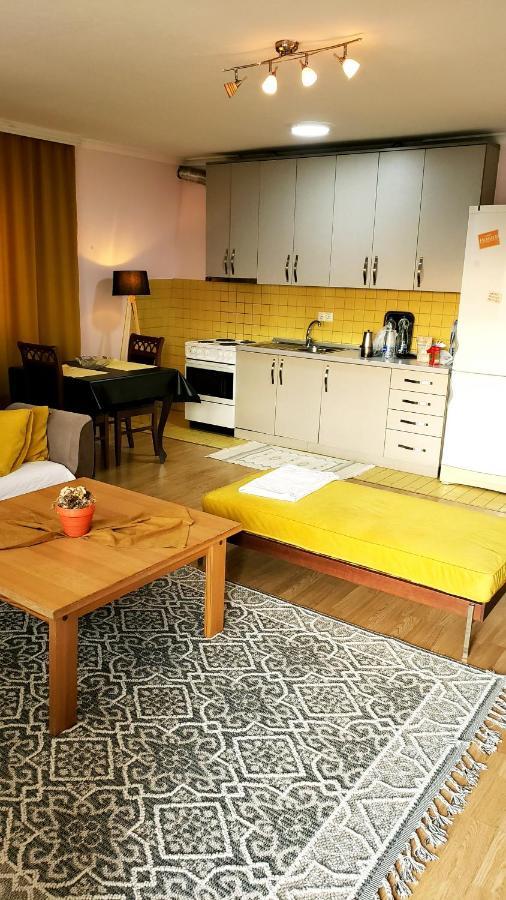 Spacious Downtown Apartment With A City View Приштина Экстерьер фото
